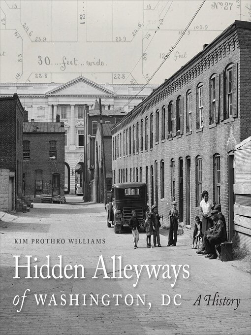 Title details for Hidden Alleyways of Washington, DC by Kim Prothro Williams - Available